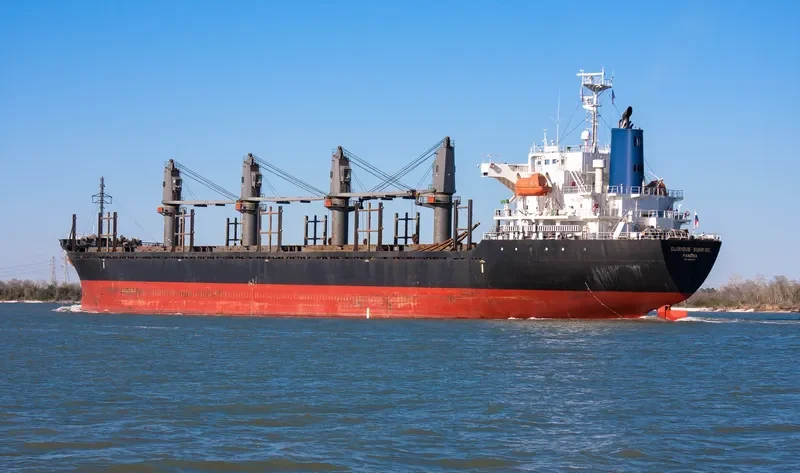 HTK LOTUS Bulk Carrier IMO 9412957 photo 7