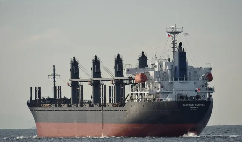 HTK LOTUS Bulk Carrier IMO 9412957 photo 8