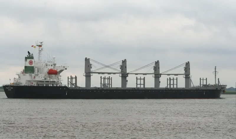 HTK CONFIDENCE Bulk Carrier IMO 9412969 photo 7