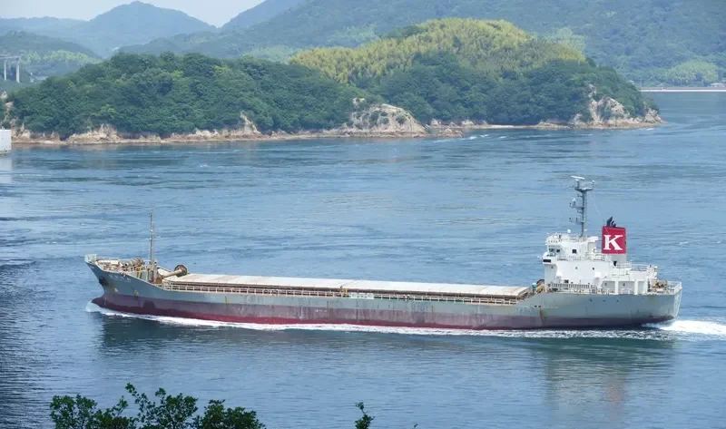 MITSUKAWA MARU Bulk Carrier IMO 9412983 photo 5