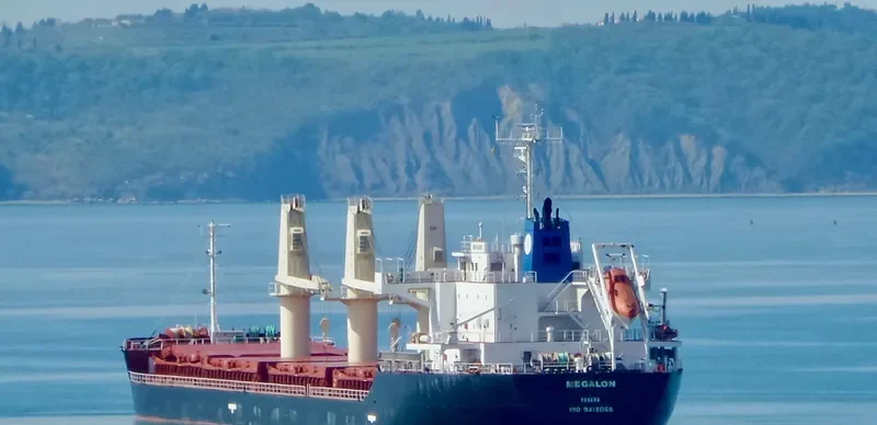 PRINCE RUPERT Bulk Carrier IMO 9413066 photo 4