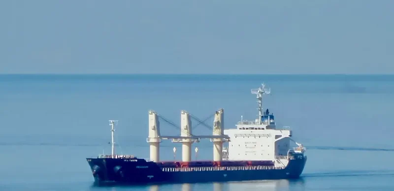 PRINCE RUPERT Bulk Carrier IMO 9413066 photo 6