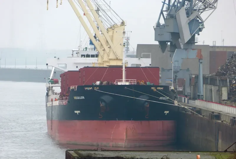PRINCE RUPERT Bulk Carrier IMO 9413066 photo 9