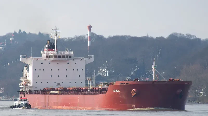 IOANNIS R Bulk Carrier IMO 9413418 photo 6