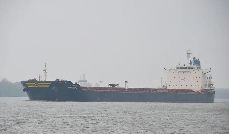 GOLDEN STRENGTH Bulk Carrier IMO 9413420 photo 2