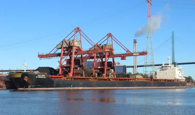 GOLDEN STRENGTH Bulk Carrier IMO 9413420 photo 4