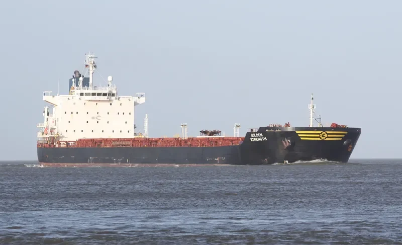GOLDEN STRENGTH Bulk Carrier IMO 9413420 photo 5