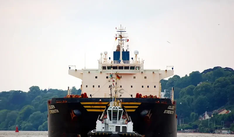 GOLDEN STRENGTH Bulk Carrier IMO 9413420 photo 7