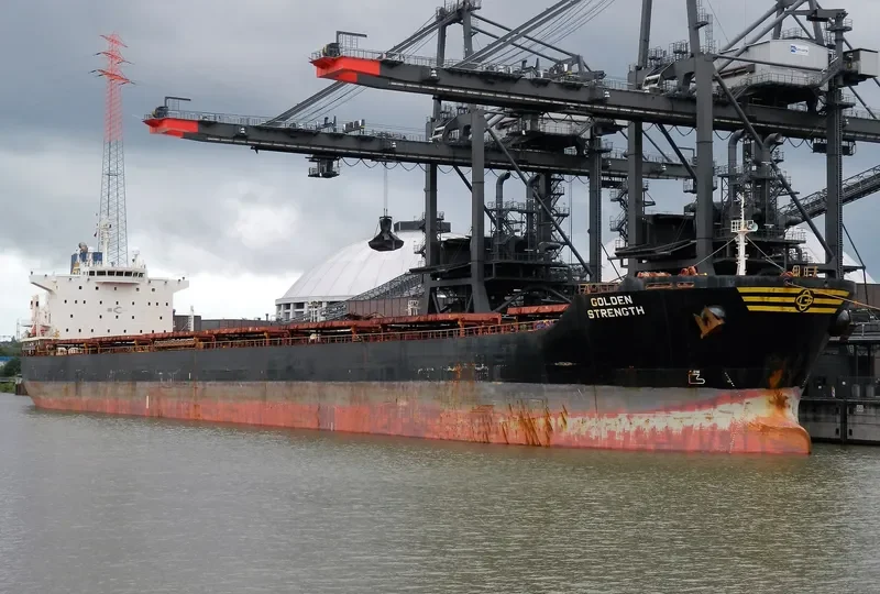 GOLDEN STRENGTH Bulk Carrier IMO 9413420 photo 8