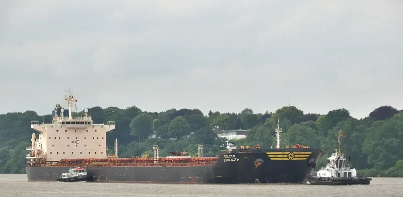 GOLDEN STRENGTH Bulk Carrier IMO 9413420 photo 9