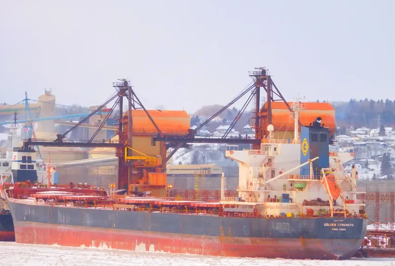 GOLDEN STRENGTH Bulk Carrier IMO 9413420 photo 10