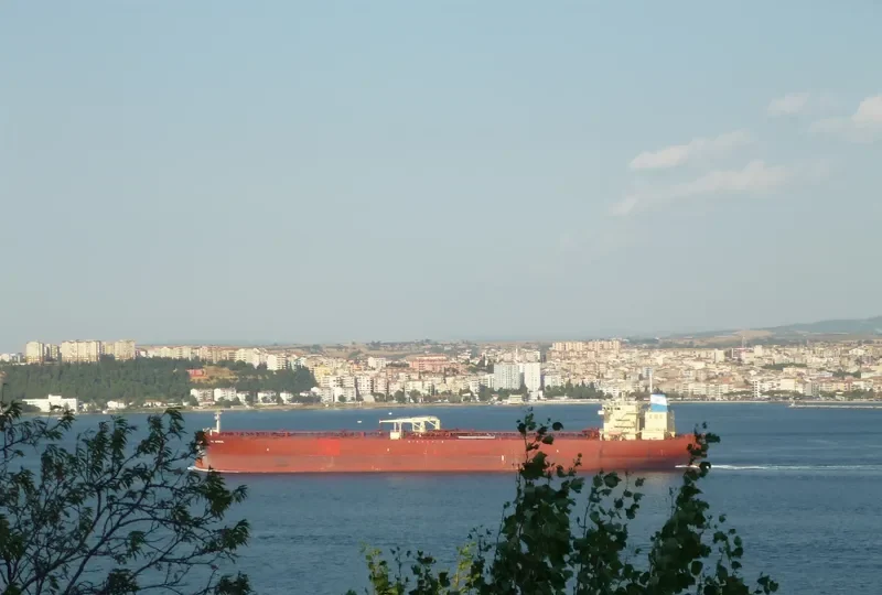 NS AFRICA Tanker IMO 9413573 photo 8