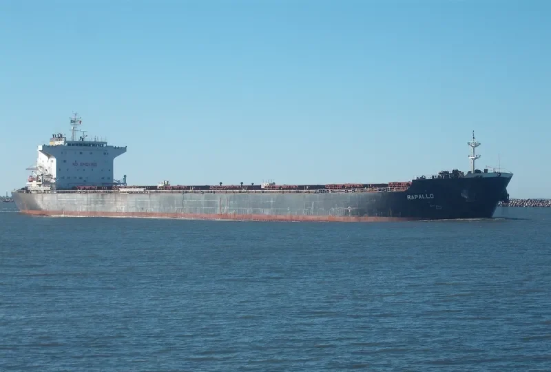 RAPALLO Bulk Carrier IMO 9413690 photo 3