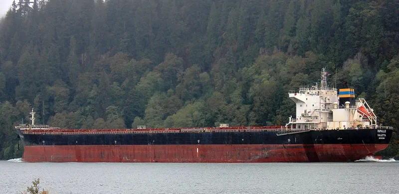 RAPALLO Bulk Carrier IMO 9413690 photo 8
