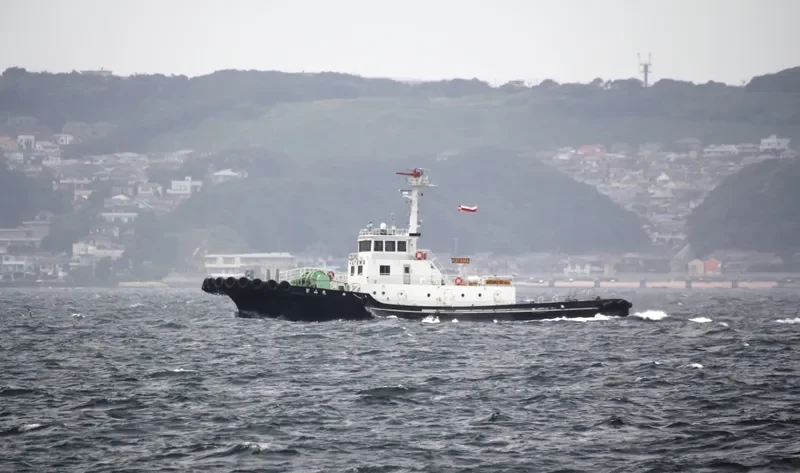 NO6 TOA MARU General Cargo IMO 9413731 photo 2