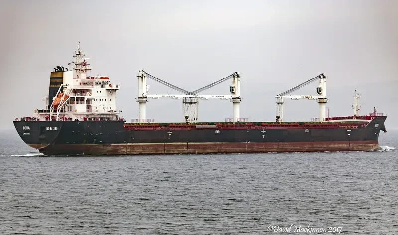 REDHEAD Bulk Carrier IMO 9413901 photo 2