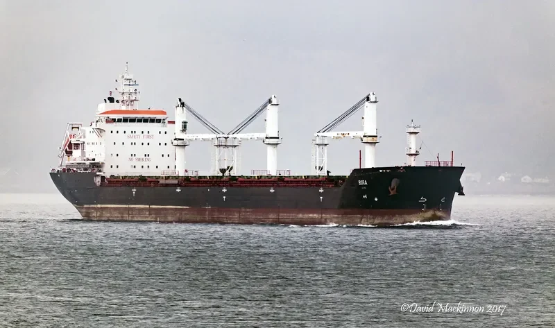 REDHEAD Bulk Carrier IMO 9413901 photo 3