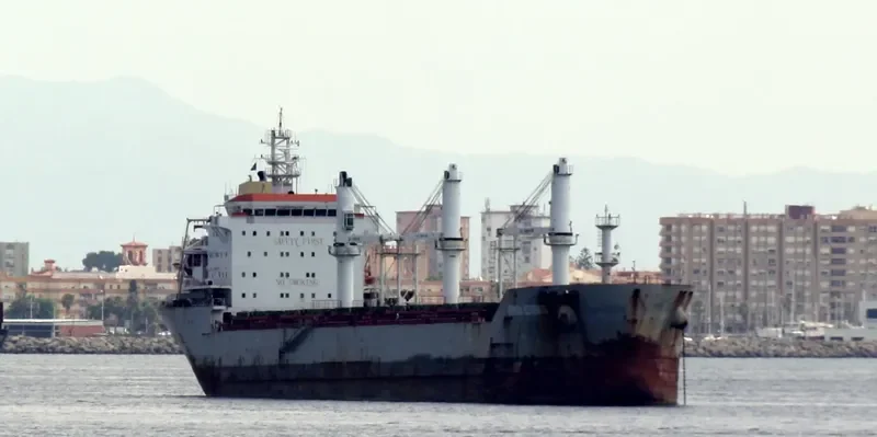 REDHEAD Bulk Carrier IMO 9413901 photo 10