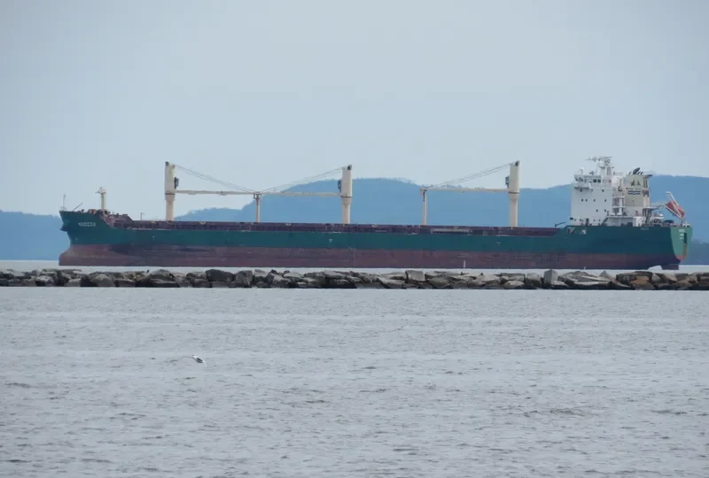 MACCOA Bulk Carrier IMO 9413913 photo 33