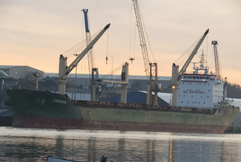 ANDEAN Bulk Carrier IMO 9413925
