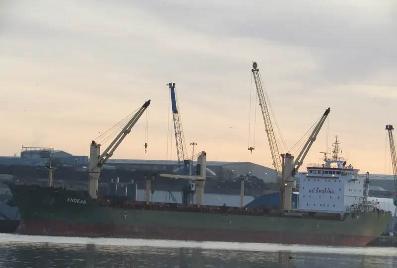 ANDEAN Bulk Carrier IMO 9413925 photo 2