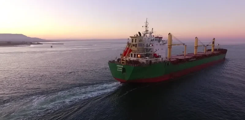 ANDEAN Bulk Carrier IMO 9413925 photo 4