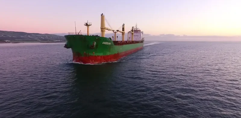 ANDEAN Bulk Carrier IMO 9413925 photo 5