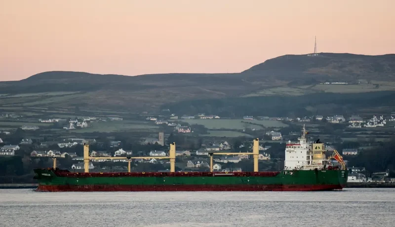 ANDEAN Bulk Carrier IMO 9413925 photo 6