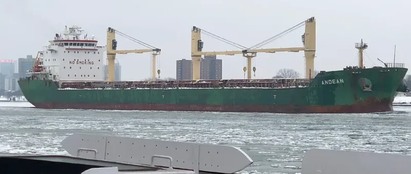 ANDEAN Bulk Carrier IMO 9413925 photo 7