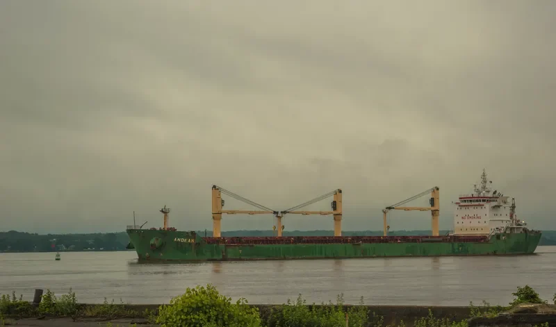 ANDEAN Bulk Carrier IMO 9413925 photo 8