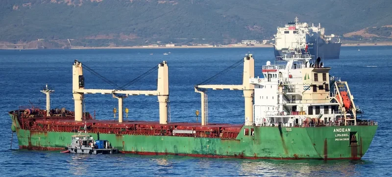 ANDEAN Bulk Carrier IMO 9413925 photo 10