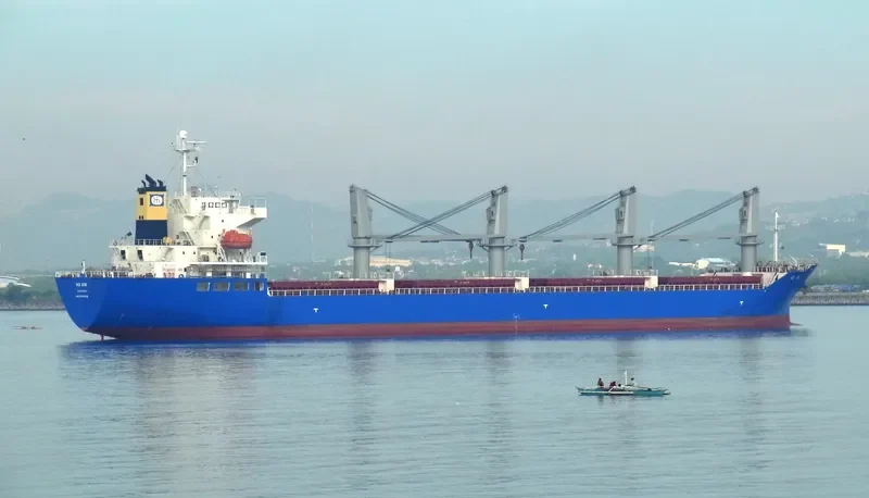 DMC JUPITER Bulk Carrier IMO 9414008 photo 3