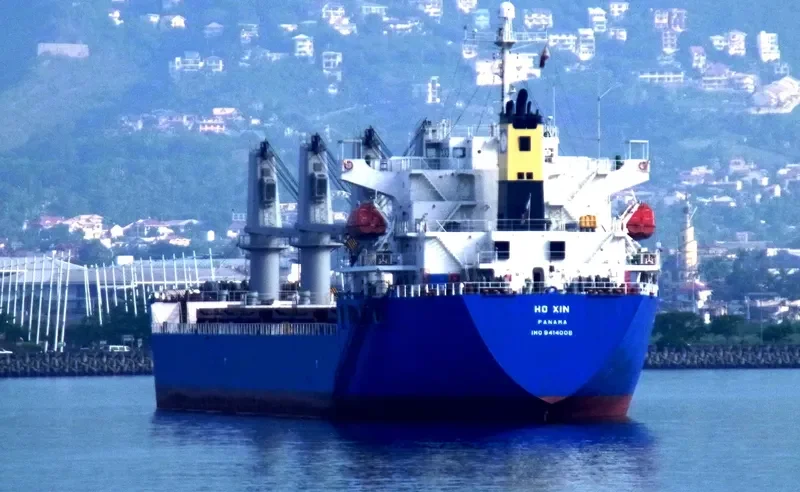 DMC JUPITER Bulk Carrier IMO 9414008 photo 5