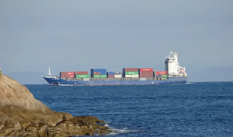 PACIFIC BUSAN Container Ship IMO 9414125 photo 3