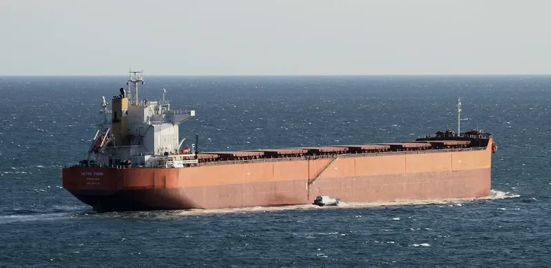 ULTRA TIGER Bulk Carrier IMO 9414149 photo 2