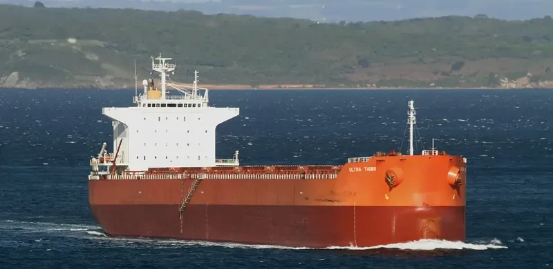 ULTRA TIGER Bulk Carrier IMO 9414149 photo 5