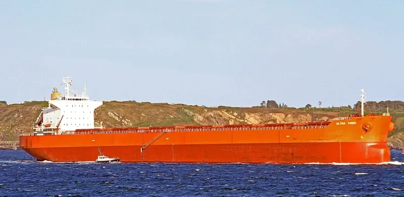 ULTRA TIGER Bulk Carrier IMO 9414149 photo 7
