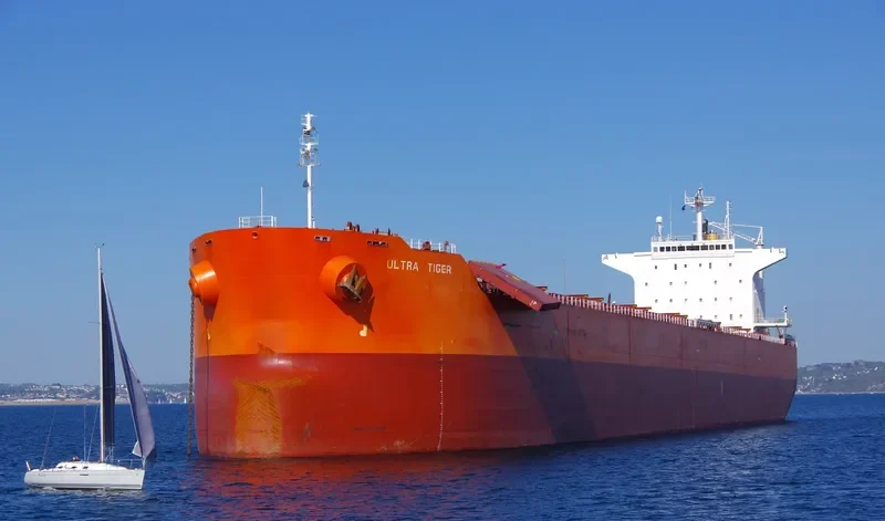 ULTRA TIGER Bulk Carrier IMO 9414149 photo 10