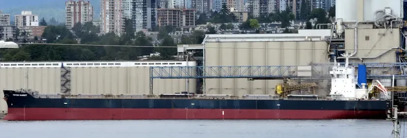 MARIA D Bulk Carrier IMO 9414151 photo 2