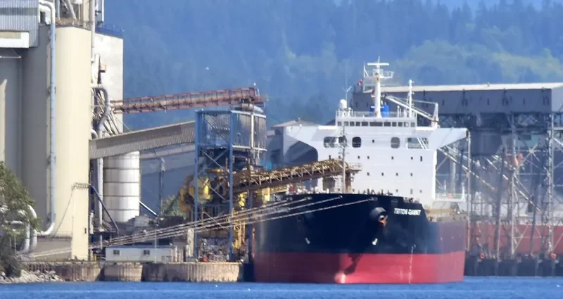 MARIA D Bulk Carrier IMO 9414151 photo 4