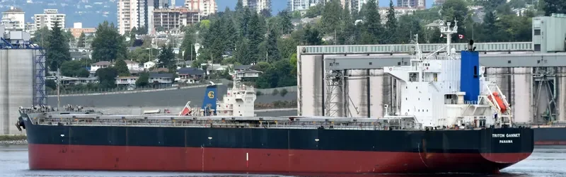 MARIA D Bulk Carrier IMO 9414151 photo 6