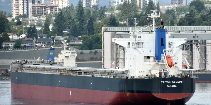 MARIA D Bulk Carrier IMO 9414151 photo 7