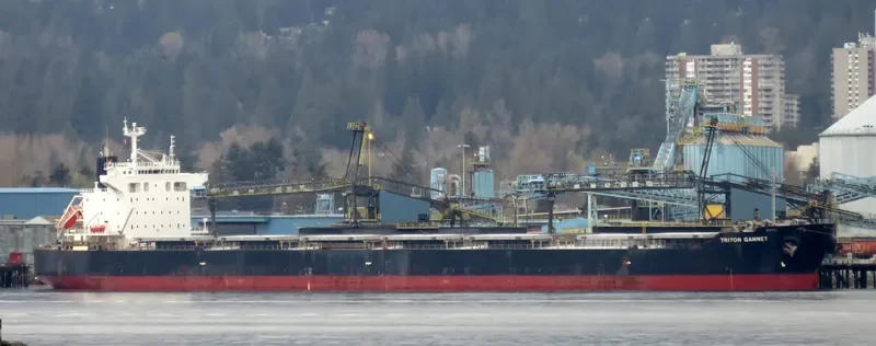MARIA D Bulk Carrier IMO 9414151 photo 9