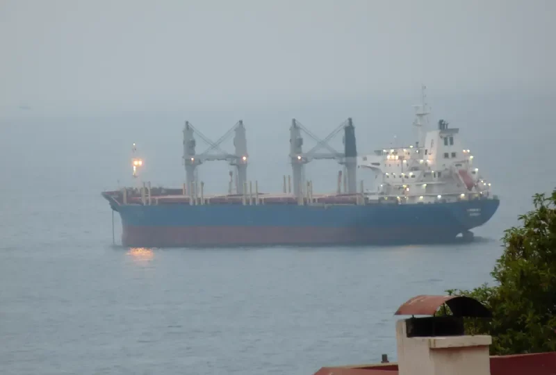 JUPITER BAY Bulk Carrier IMO 9414448 photo 4