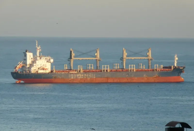 JUPITER BAY Bulk Carrier IMO 9414448 photo 5