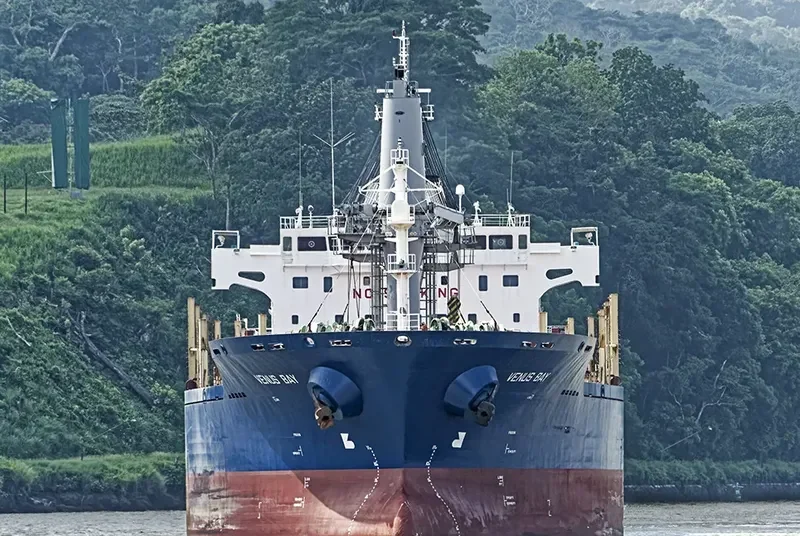 KYRI BAY Bulk Carrier IMO 9414450 photo 4