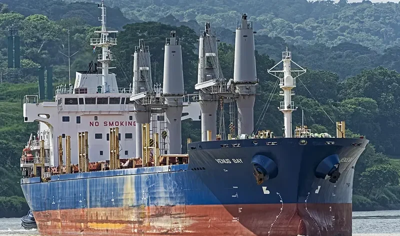 KYRI BAY Bulk Carrier IMO 9414450 photo 5