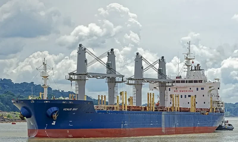 KYRI BAY Bulk Carrier IMO 9414450 photo 6