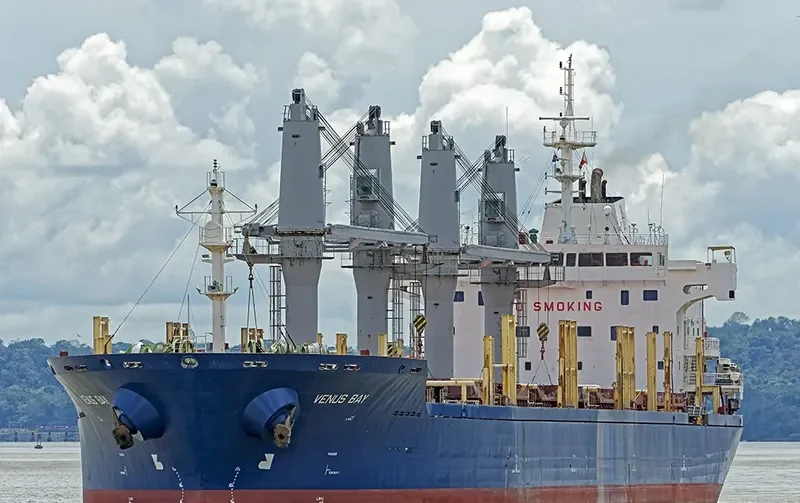 KYRI BAY Bulk Carrier IMO 9414450 photo 7