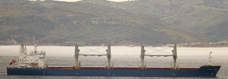 KYRI BAY Bulk Carrier IMO 9414450 photo 8